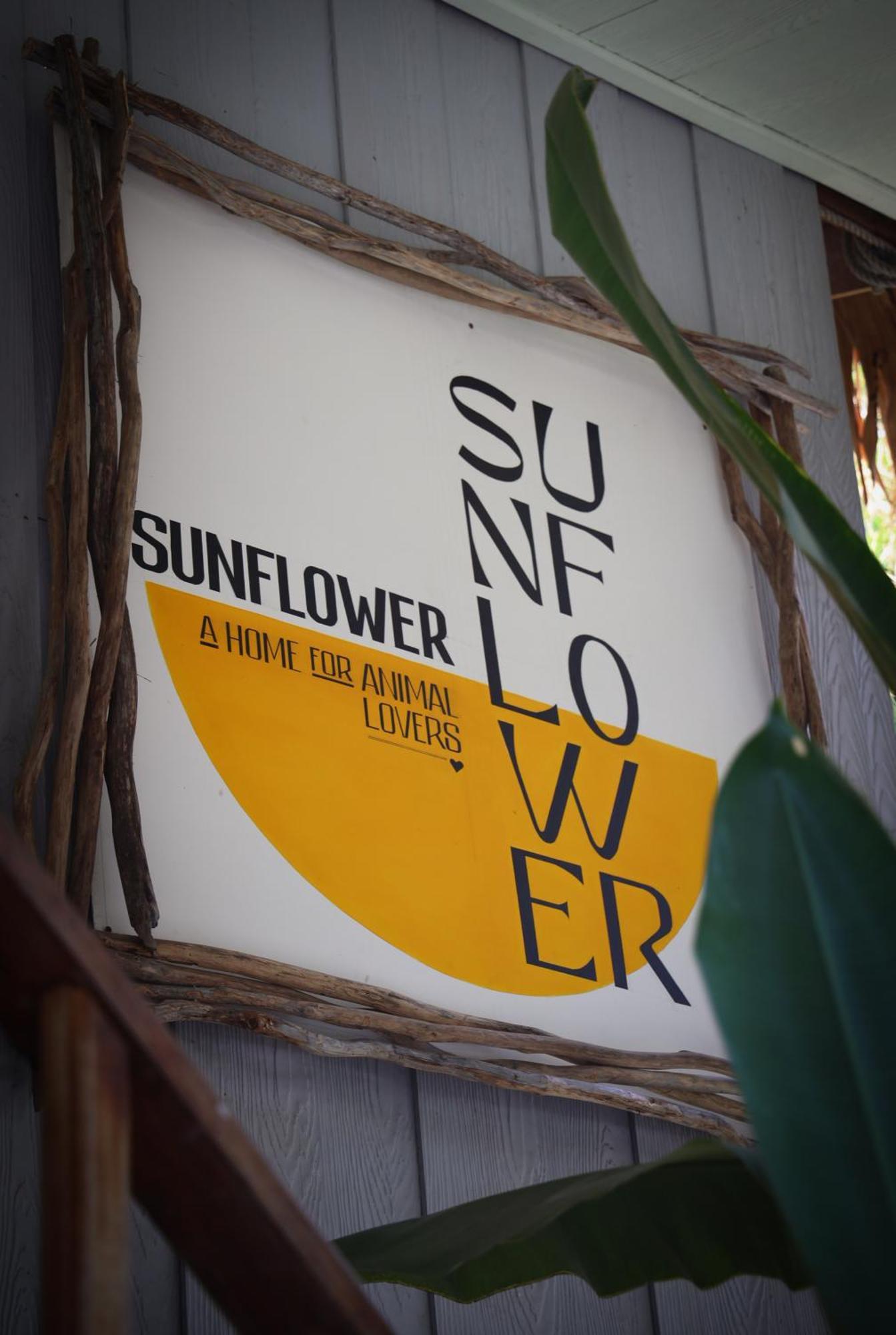 Sunflower Guesthouse And Animal Rescue - Koh Lipe Esterno foto